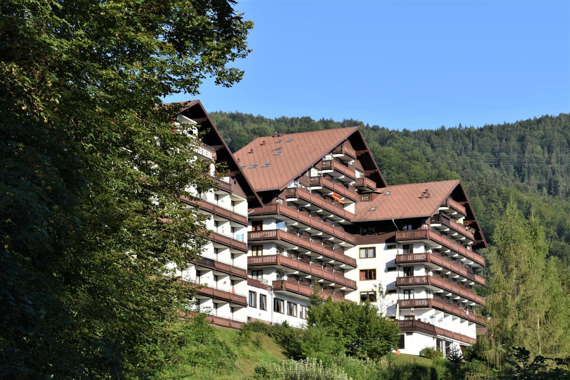 Apartment D 'Freizeit Bad Goisern am Hallstättersee Exterior foto